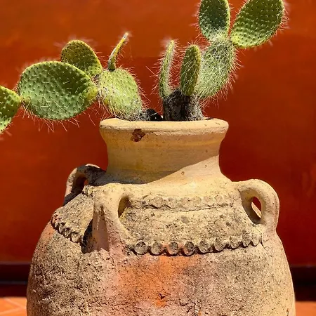 La Perla Di Semesterbostad *