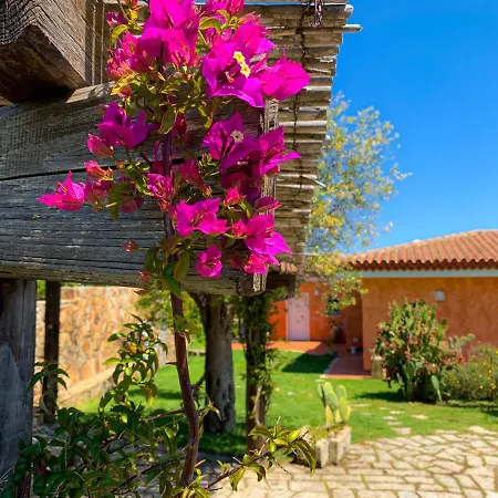 La Perla Di * 帕劳