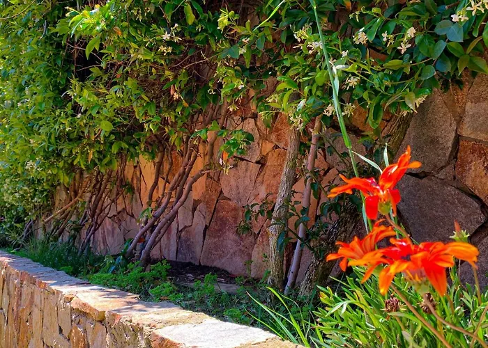 度假居 La Perla Di *